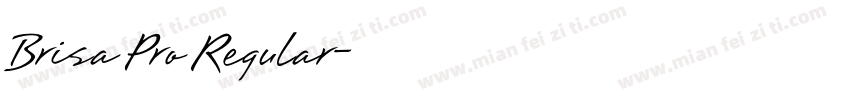 Brisa Pro Regular字体转换